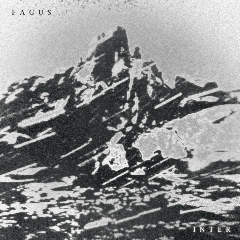 Fagus - Inter Vinyl LP  |  Black