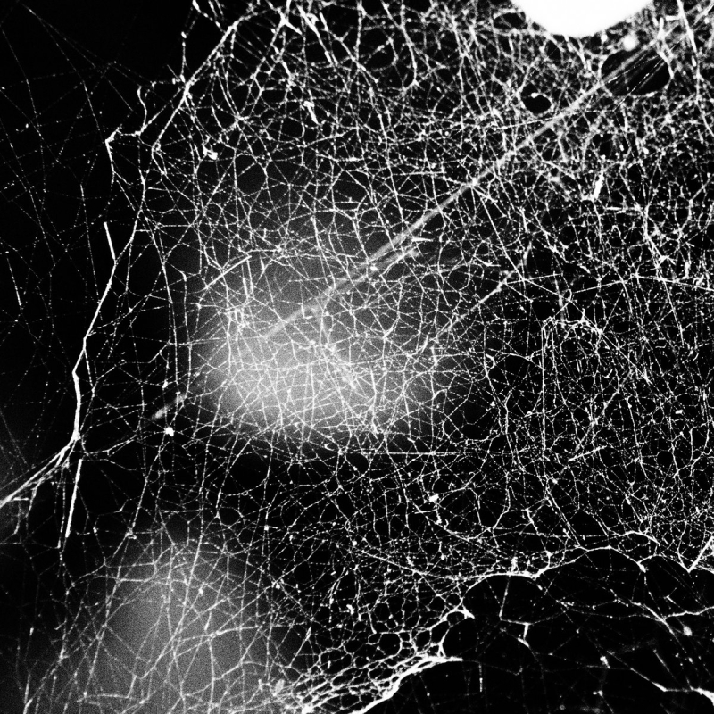 Hadopelagyal - Haematophoryktos Vinyl Gatefold LP