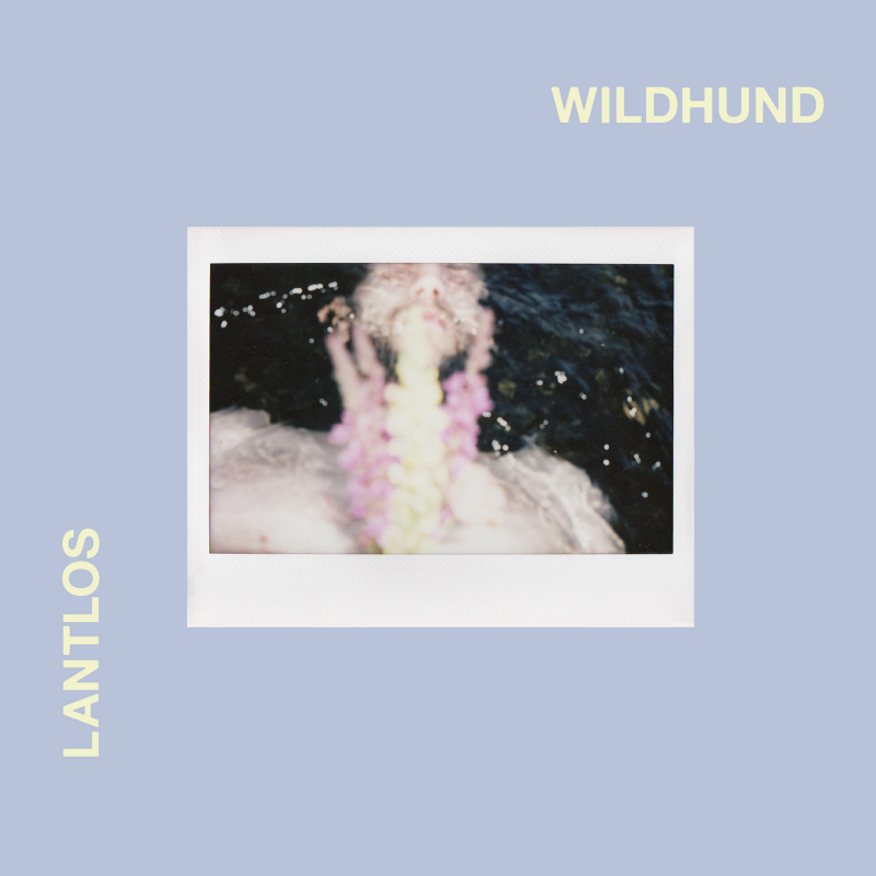 Lantlôs - Wildhund Artbook 2-CD 