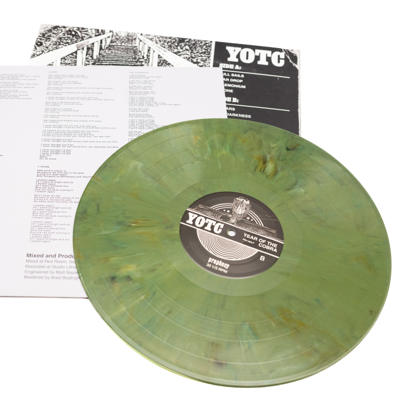 Year Of The Cobra - Year Of The Cobra Vinyl LP  |  Random Colour Recycled