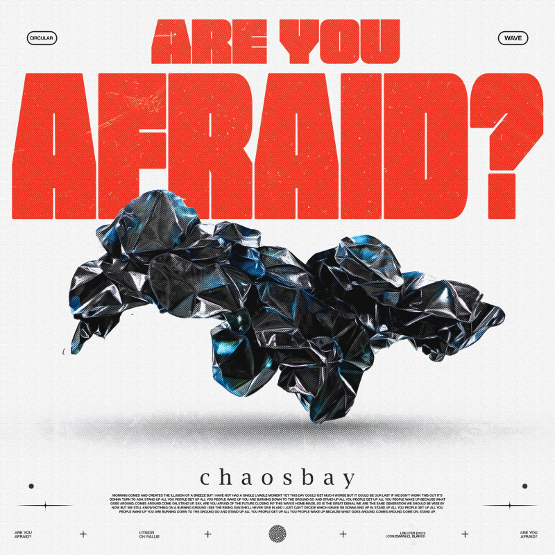 Chaosbay - ARE YOU AFRAID? Vinyl LP  |  Black