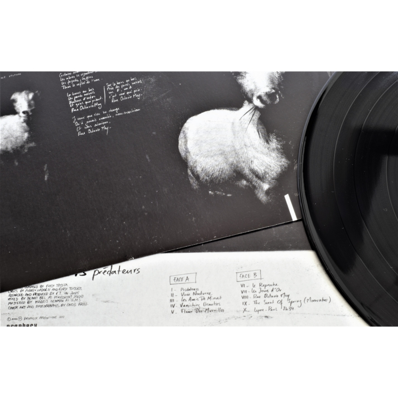 Les Discrets - Prédateurs Vinyl LP  |  black