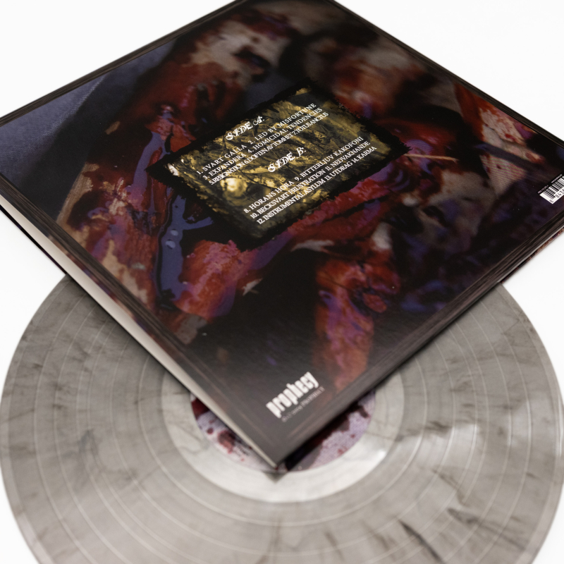 Lifelover - Sjukdom Vinyl Gatefold LP  |  Silver/Black Marble